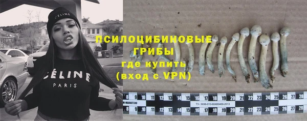 прущая мука Алзамай