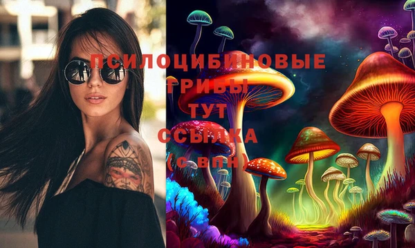 метадон Алексеевка