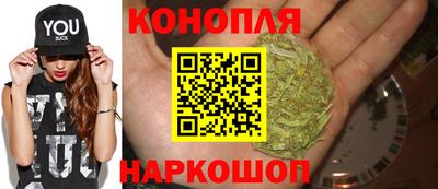 мяу мяу мука Камышлов